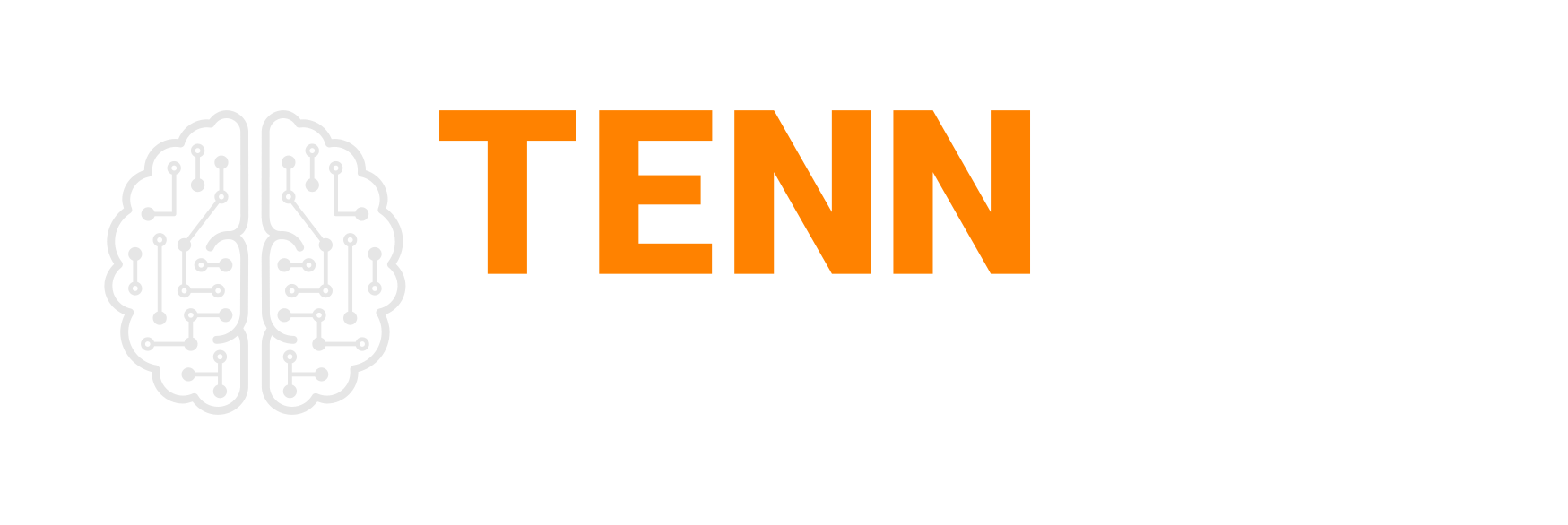 TennLab Logo